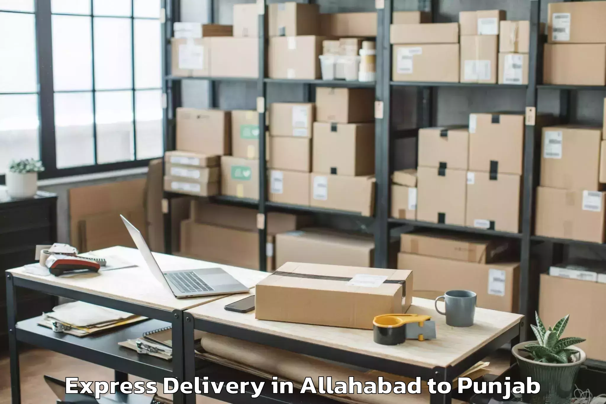 Book Allahabad to Tapa Express Delivery Online